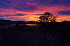Sunrise over the River Derwent