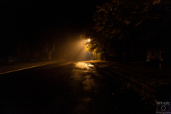 Autumn Night in New Norfolk